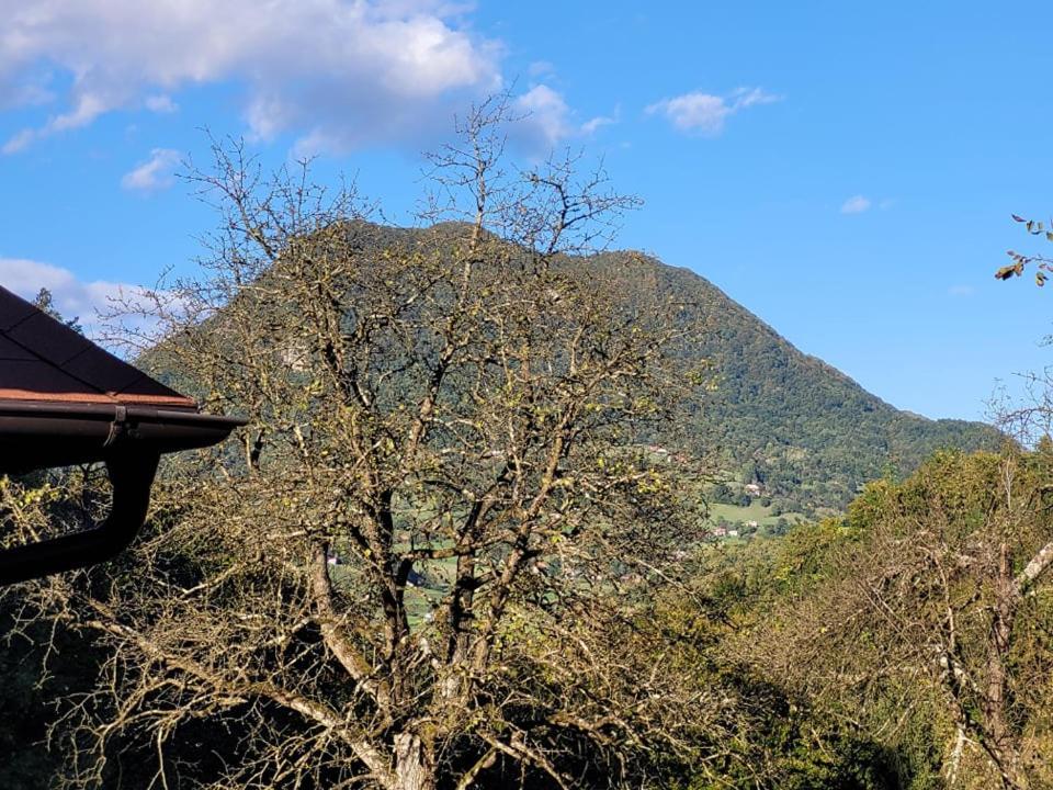 Turisticna Kmetija Kunstek Villa Rogatec Luaran gambar