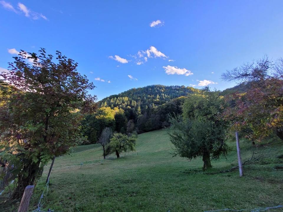 Turisticna Kmetija Kunstek Villa Rogatec Luaran gambar